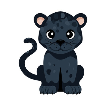 Panther. Cartoon, flat vector drawing of a wild animal. Baby panther on white background. Used for prints, collages, magazines in web design. 
