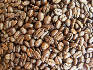 Coffee beans, natural light, selective focus on center, photo with a typical fisheye lens.