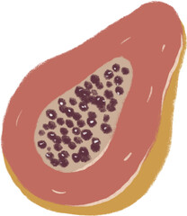 Papaya png clipart. Digital hand drawing illustration png file on isolated transparent background. Design for pattern, print, invitation, wedding and greeting cards