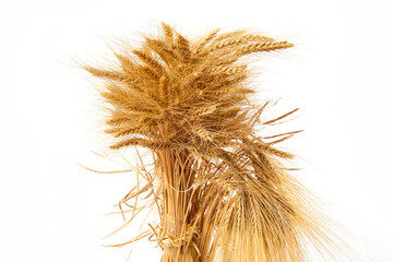 A bunch of ripe wheat, on a white background.