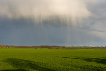 Field with dense spot rain shower