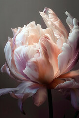 Beautiful pink peony flower, close-up, on a dark background. Imitation of oil painting. Vertical image. Generative AI