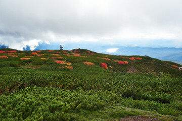 北海道　旭岳の紅葉
