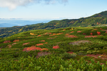 北海道　旭岳の紅葉
