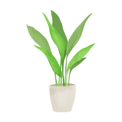 Watercolor vector home flower in ceramic pots, Prout, green leaves in flower pot closeup isolated on white background. Hand painting.