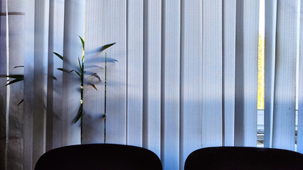 Vertical fabric white blinds on the window with the sun. Background and texture. Abstract pattern and frame. Stripes and lines of white-gray color