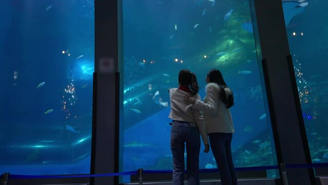 Asian woman friends looking at shoal of fish in large glass tank during travel at underwater zoo Aquarium together. Attractive girl learning and looking sea life at oceanarium on holiday vacation.