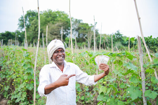 Indian Chinese okra farming , farmer holding baby Chinese okra in farm