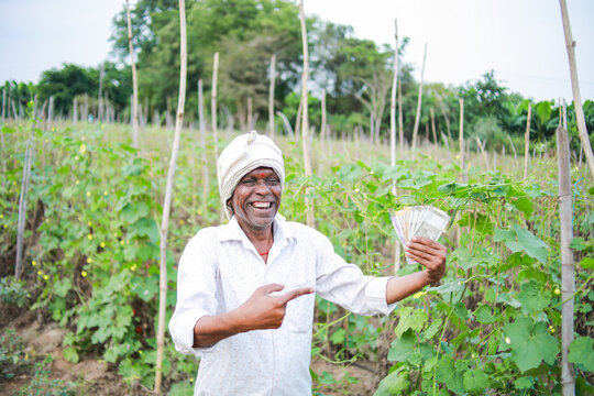 Indian Chinese okra farming , farmer holding baby Chinese okra in farm