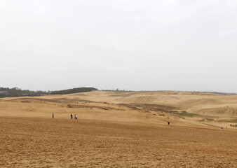 Obraz premium 鳥取砂丘