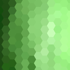 Green hexagon background. Presentation template. Layout for advertising. Vector graphics. eps 10