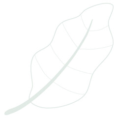 Line art leaf 