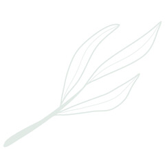 Line art leaf 