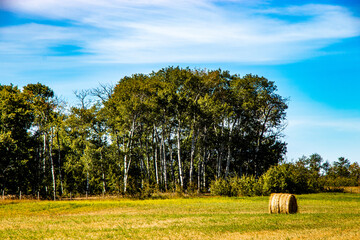 Fototapeta premium Blue skies, ponds and farmers fields on a drive thru Lacombe County, Alberta, Canada
