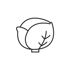 Cabbage line icon, vegetables logo vector