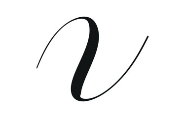 Swoosh, swash underline stroke set.Abstract wavy thin line. Squiggle elements. Vector isolated illustration