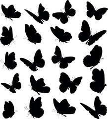 Butterfly Silhouette Set