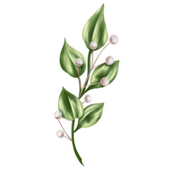 An elegant composition of green leaves and dried decorative flowers in watercolor style. Digital illustration on a white background. For invitations, date saving, gratitude or greeting card