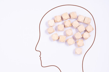 Human brain is made of wooden blocks..
