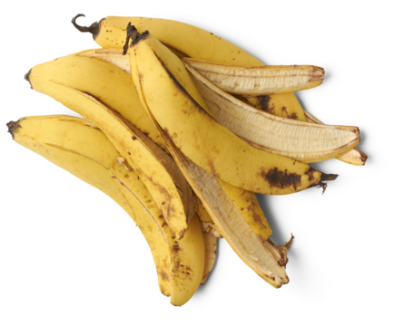 pile of banana peels, food waste used as natural fertilizer, kitchen waste management concept, cheap and eco friendly organic compost, taken straight from above with isolated