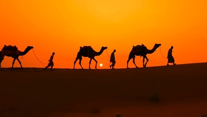 A man driving a camel in the desert at sunset