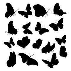Butterfly Silhouette Set