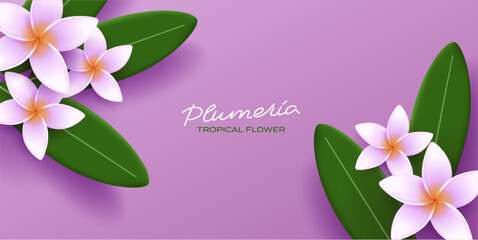 Vector illustration of exotic frangipani flower and leaves, spa promo banner template, tropical resort