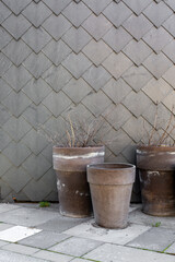 Naklejka premium monochrome photo of flowerpots on the background of a stone wall