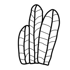 Aesthetic floral plant elements illustration template