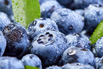Close-up of a blueberry with green leaves and water drops