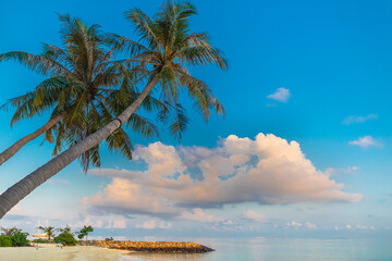 Coast of the Indian Ocean