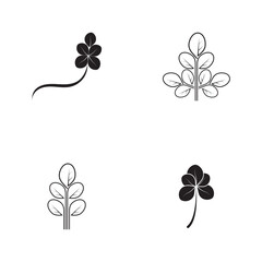 Fototapeta na wymiar moringa leaf nature icon vector illustration template design