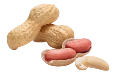 Delicious peanuts cut out