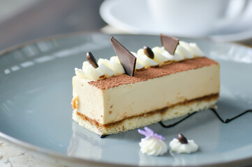 cake or tiramisu cake , coffee cake