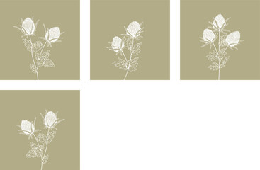 Set of Square Botany art posters abstract design composition in trendy contemporary collage style, for wall art decoration, postcard, cover design