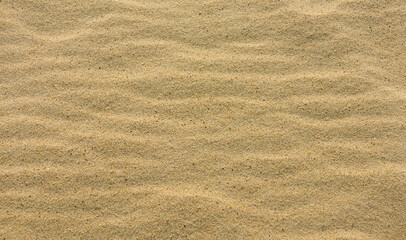 Quartz yellow sand close up. Natural background, top view. Sandy surface