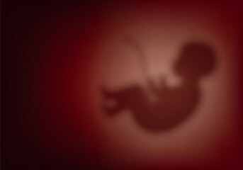 Blurred human embryo in the womb, pregnancy, obstetrics. Child in the womb. Concept for obstetric center or gynecologist, symbol of pregnancy and motherhood - obrazy, fototapety, plakaty