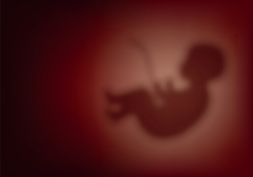 Blurred human embryo in the womb, pregnancy, obstetrics. Child in the womb. Concept for obstetric center or gynecologist, symbol of pregnancy and motherhood