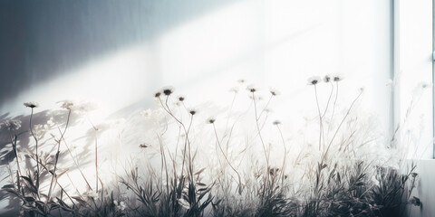 Gray shadows of grass and flowers on white wall