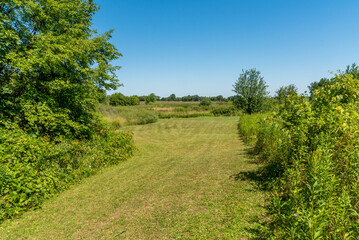 Raube Road Historical Site Of Wisconsin's Old Military Road Through Gallagher Marsh