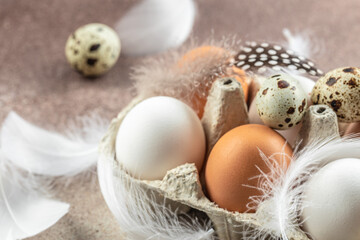 Chicken and quail eggs with feathers on light background. top view