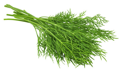 Dill isolated on white background, full depth of field