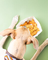dog birthday cupcake, dog treats