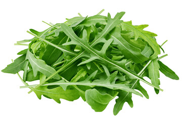 Arugula, rocket, eruca, rucola, isolated on white background, full depth of field