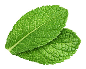 Obraz premium mint leaves, spearmint, isolated on white background, full depth of field