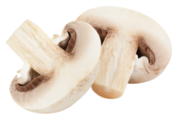 champignon, mushroom, isolated on white background, full depth of field