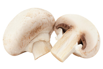 champignon, mushroom, isolated on white background, full depth of field