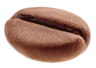coffee bean isolated on white background, clipping path, full depth of field