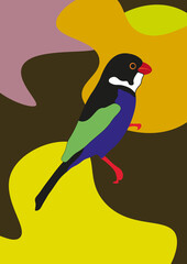 Golinho macho - White-throated Seedeater (Sporophila albogularis) - Ilustração colorida de pássaro 