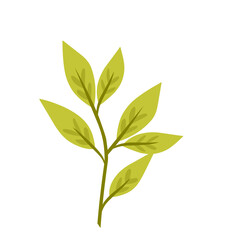 Fototapeta premium Botanical plant.decorative organic leaves.leaf illustration